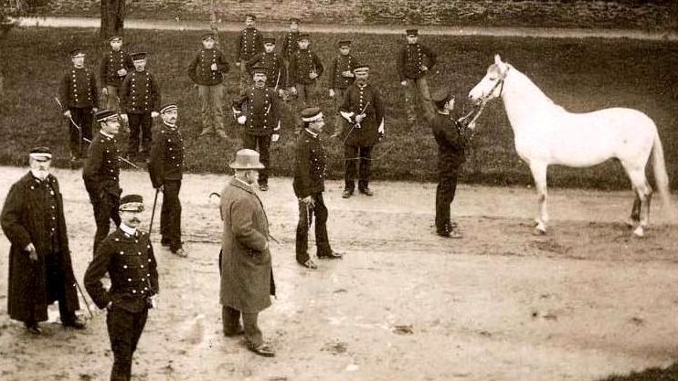 Officiers du Haras National de Pompadour en 1888 © Région Nouvelle-Aquitaine, inventaire général du patrimoine culturel, reproduction P. Rivière