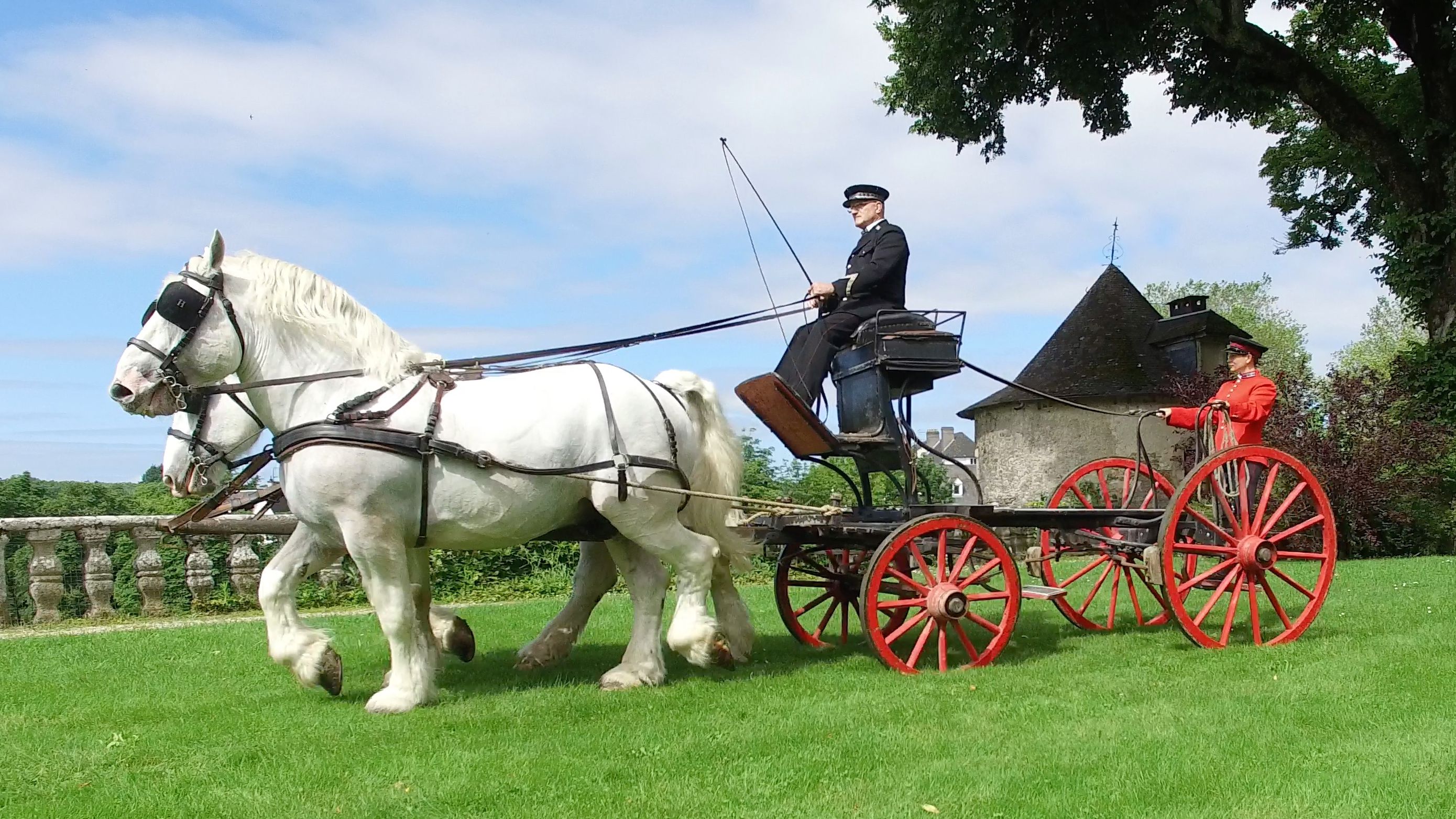 Voiture hippomobile du haras de Pompadour © Région Nouvelle-Aquitaine, Prêt à Diffuser