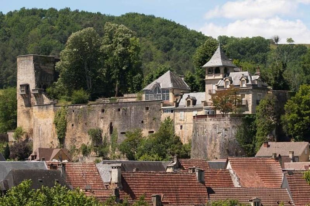 Fig. 9 : Vue d'ensemble (à l'est) du château de Montignac.