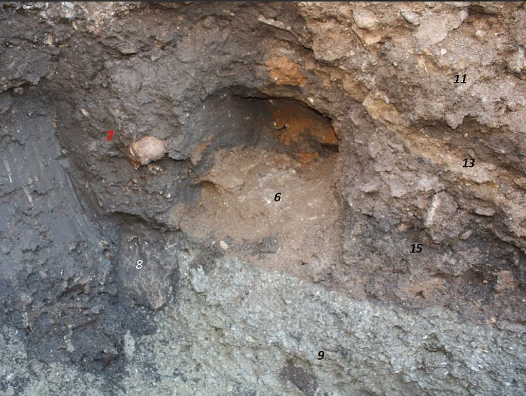 Vue de l’angle sud-ouest de la séquence du cimetière médiéval (un crâne humain en 7) (Cl. H. Gaillard, 2014).