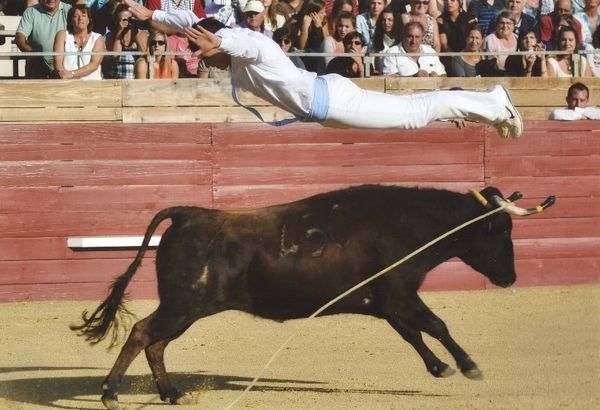 Course landaise : un saut. (c) Musée de la course landaise