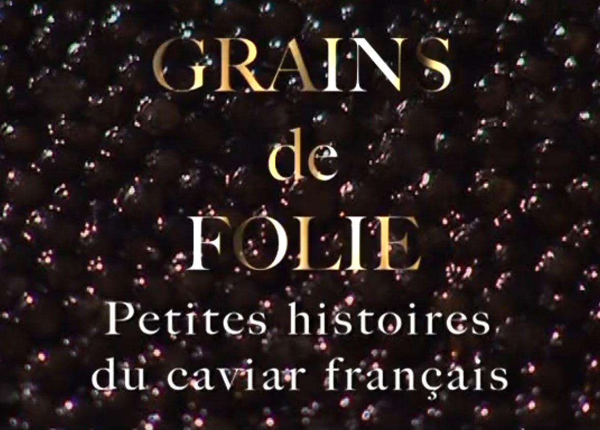 Grains de folie dans l'estuaire de la Gironde