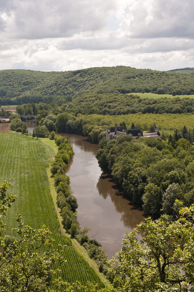 Vue de la Vézère à Aubas.