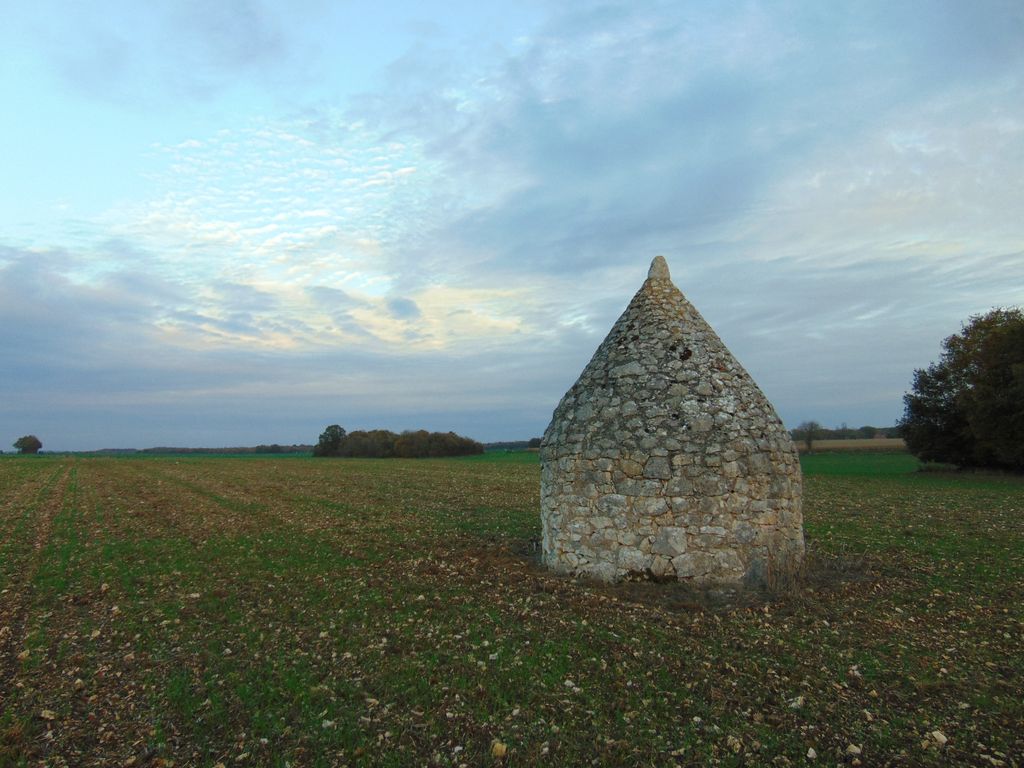 Vue générale.