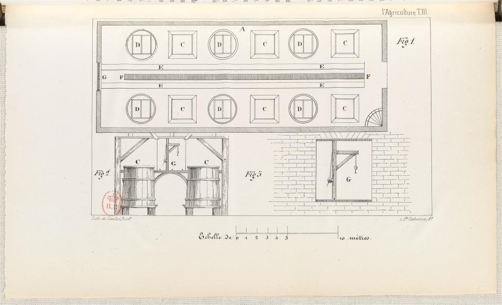 Lithographie extraite de l'Agriculture comme source de richesse, 1842 : plan du cuvier.