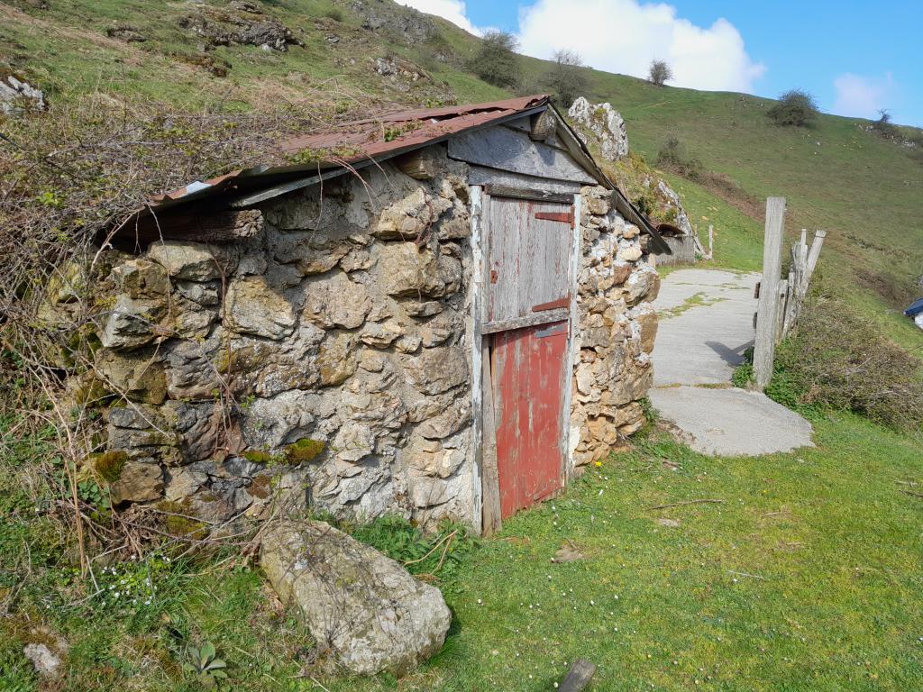 Vue de l'enclos et de la cabane n°1 depuis le sud-est.