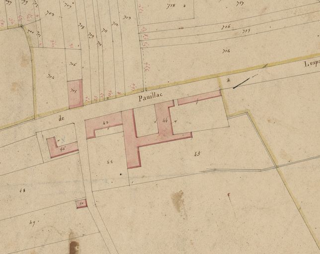 Extrait du plan cadastral de 1825 : parcelle 44.