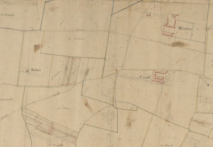 Extrait du plan cadastral de 1825 : parcelles 125, 130, 131.