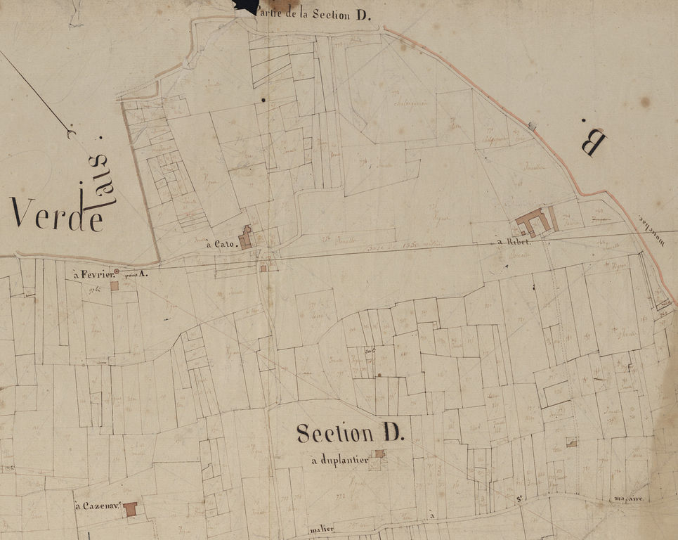 Cadastre ancien de 1811 : détail de la section D représentant Malagar (Ribet) entouré de 