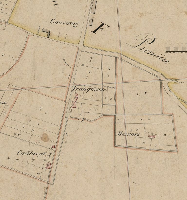 Extrait du plan cadastral napoléonien : lieu-dit Franquesorte.