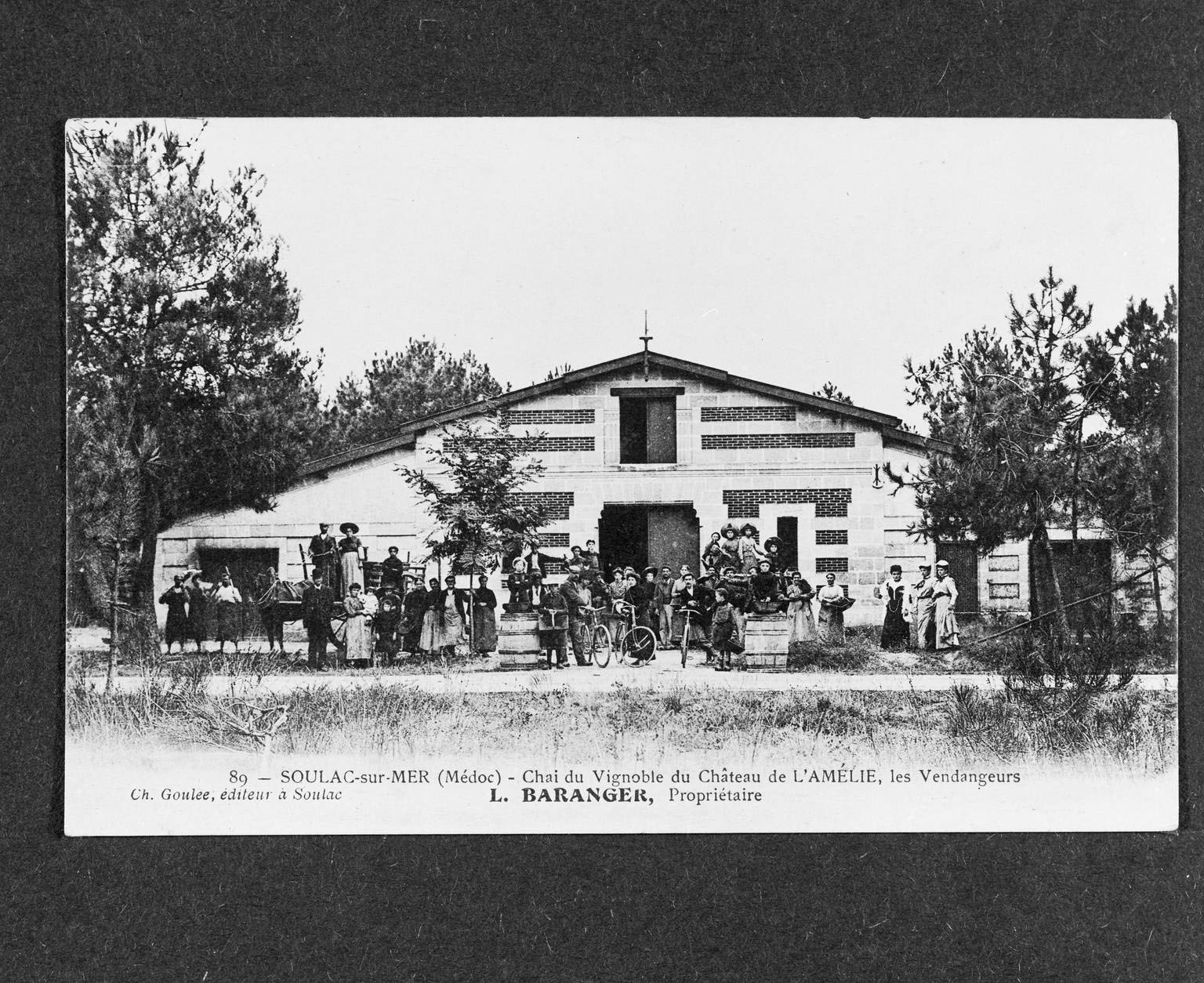 Carte postale, vers 1900 (collection particulière) : Chai du vignoble du château de l'Amélie, les Vendangeurs. Propriétaire L. Baranger.