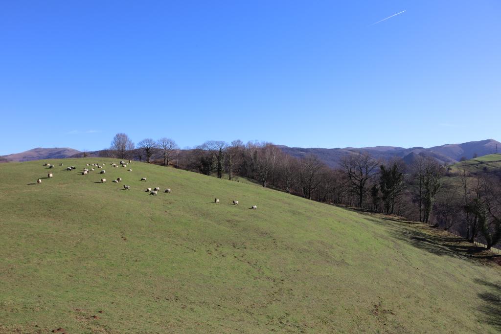 Vue du pré de Sinharlepho.