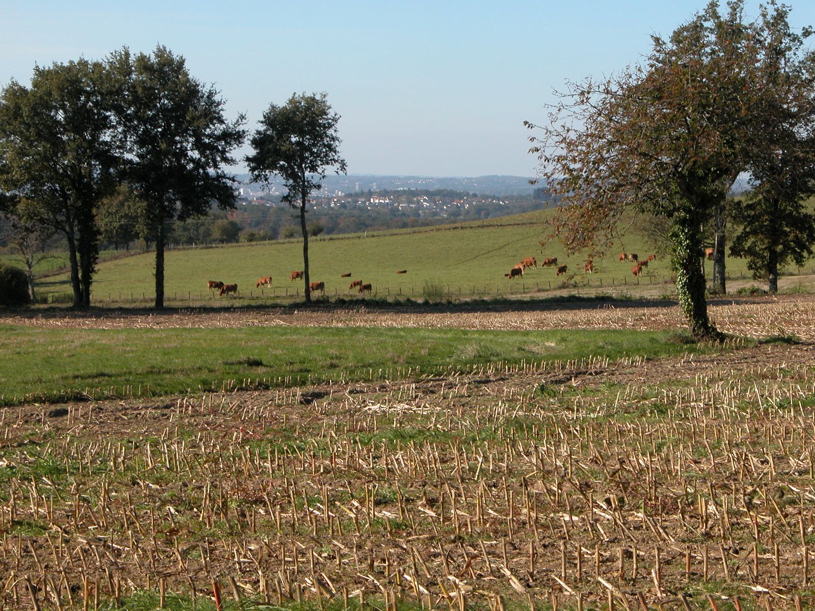 Vue en direction de la ville de Limoges à partir de la commune d'Eyjeaux