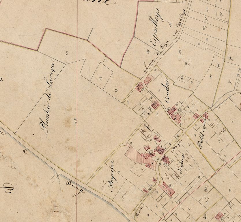 Extrait du plan cadastral, 1820, section A : parcelle 176.