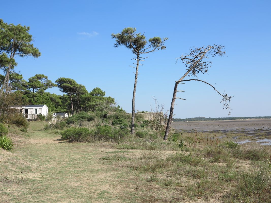 La petite casemate entre le terrain de camping et l'ancienne plage.