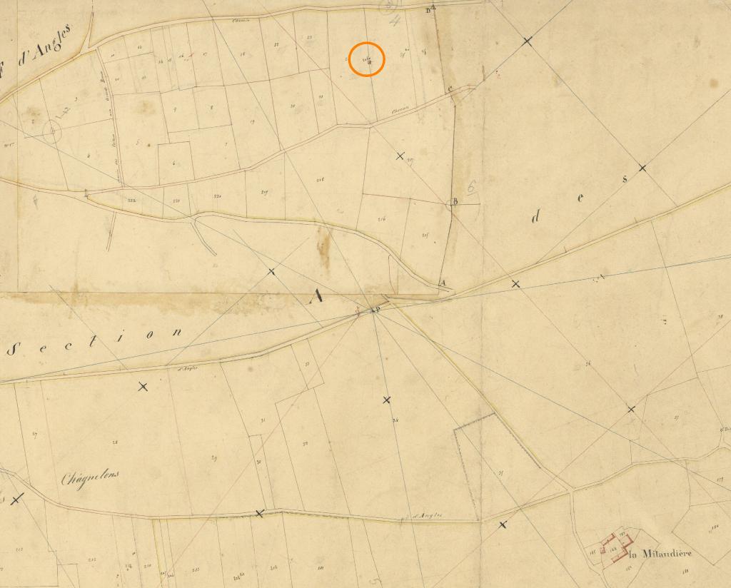 Cabane à l'ouest de la Mitaudière, extrait du plan cadastral de 1826, feuille B1.