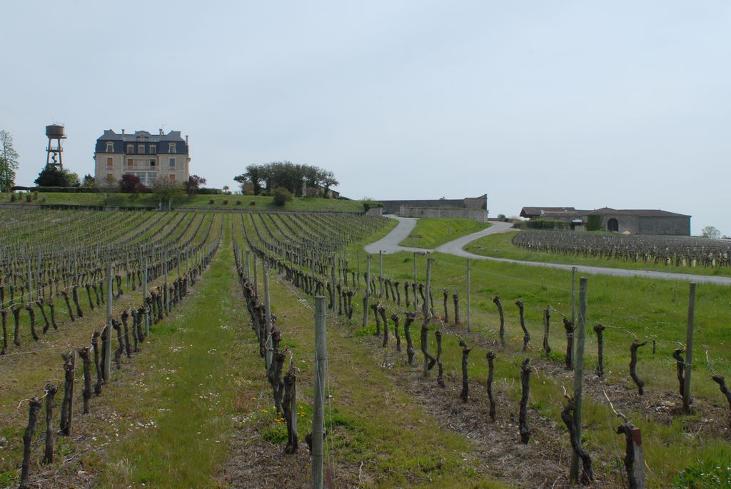 Vue d'ensemble du château de Ségonzac depuis l'ouest.