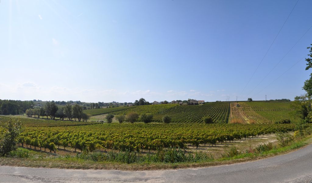 Vue d'ensemble du hameau Saint-Seurin-Vieux, emplacement de l'ancien village.