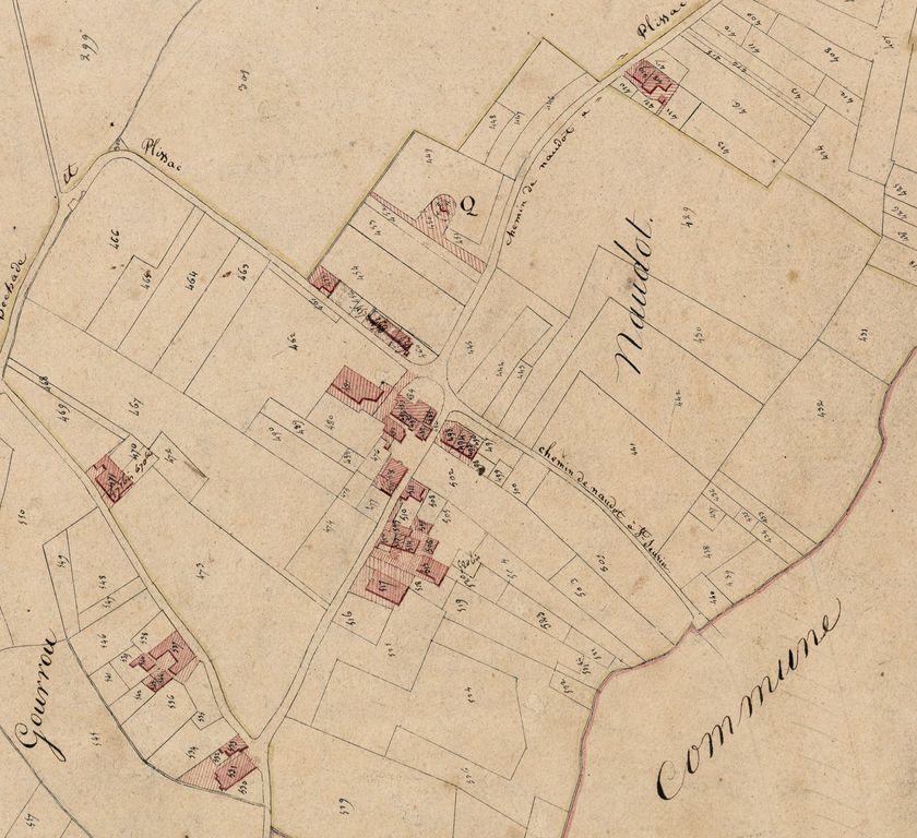 Extrait du plan cadastral, 1820 : parcelle 466.