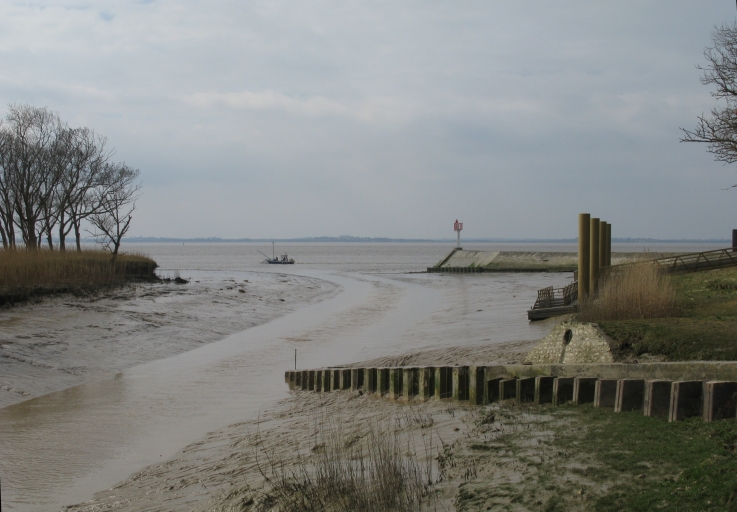 L'entrée du port et du chenal de Vitrezay, à Saint-Sorlin-de-Cônac.