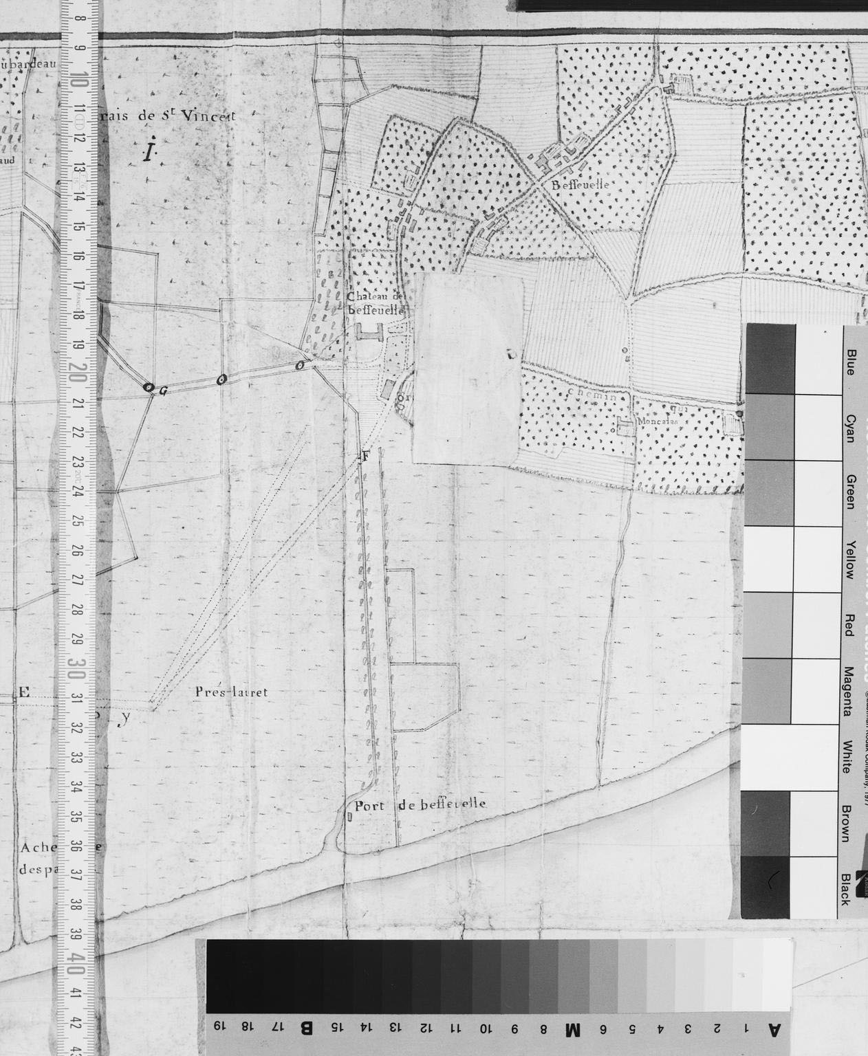 Carte d'une partie du Médoc, 18e siècle : détail du château et de ses jardins.