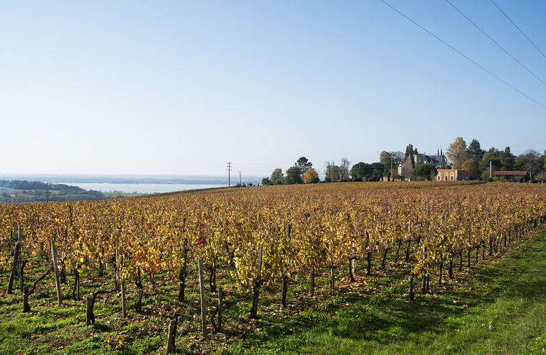 Vue vers l'estuaire et le site de Bellevue à Plassac, sur la rive droite.