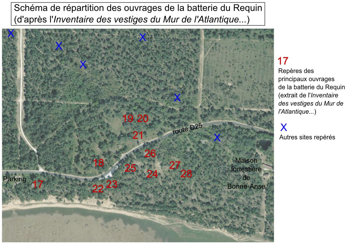 Schéma de répartition des ouvrages de la batterie du Requin (d'après l'Inventaire des vestiges du Mur de l'Atlantique...)..