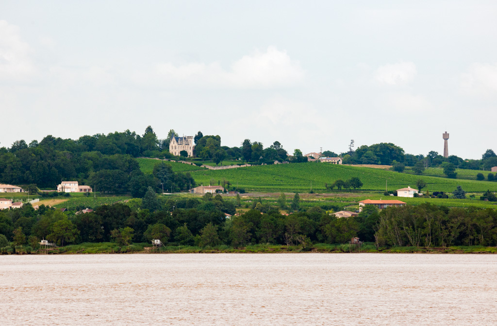 Vue d'ensemble depuis l'estuaire.