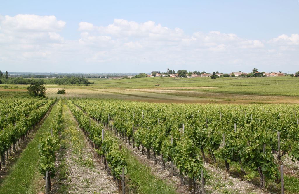 Vue générale vers le hameau depuis le sud-est.