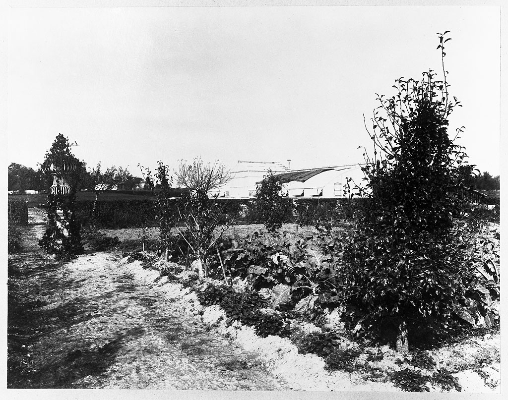 Serre (photographie ancienne).