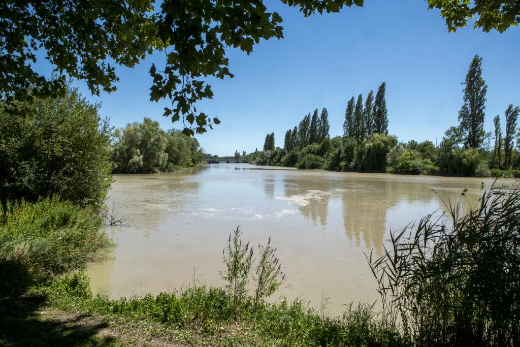 Confluence du canal et de la Charente.