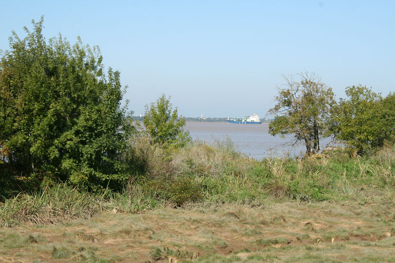 Vue du chenal de navigation entre l'Ile Nouvelle et Cussac, avec passage d'un bateau citerne.