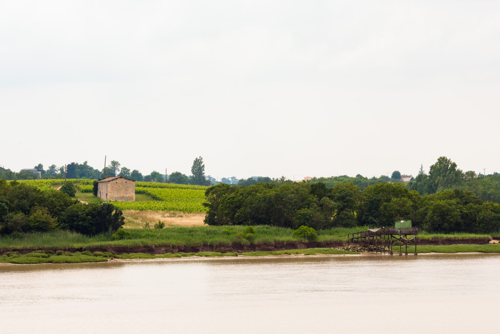 Vue du rivage depuis l'estuaire.