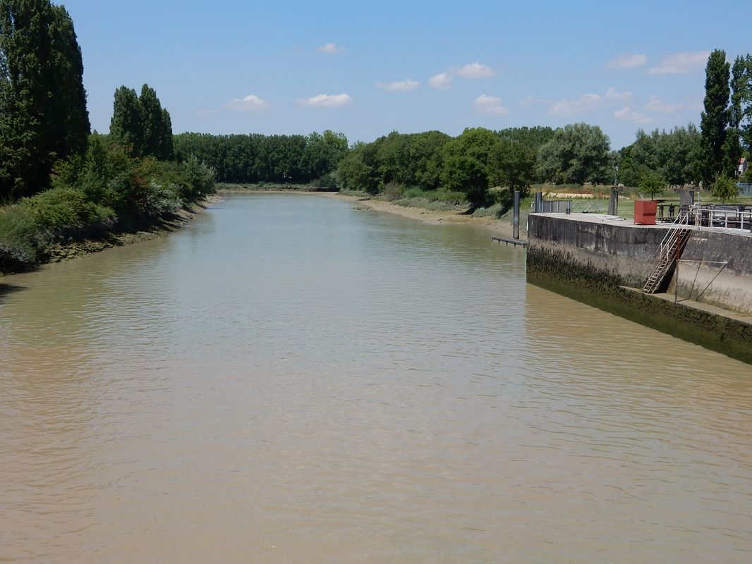 La dérivation vue du pont vers l'aval.