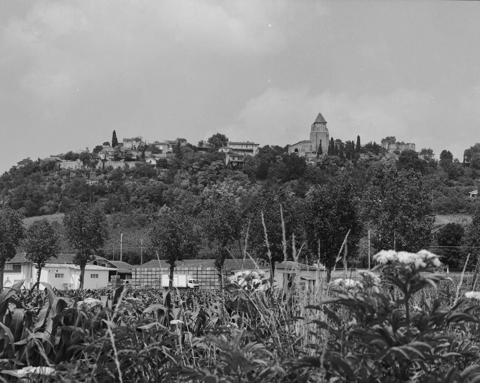 Vue du site depuis le sud.