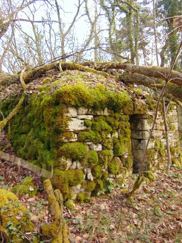 L’usure dans le temps et l’action de l’homme ne sont pas les seuls fléaux des loges de pierre sèche. Ici, la chute d’un arbre a fragilisé la couverture.