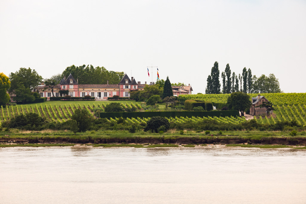 Vue d'ensemble depuis l'estuaire.