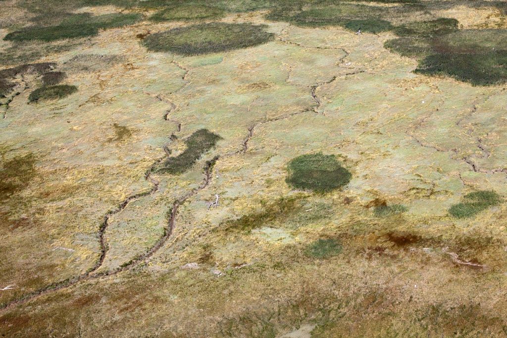 Vue aérienne de marais côtiers.