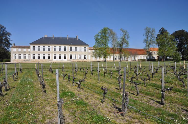 Vue du château depuis les vignes au sud.