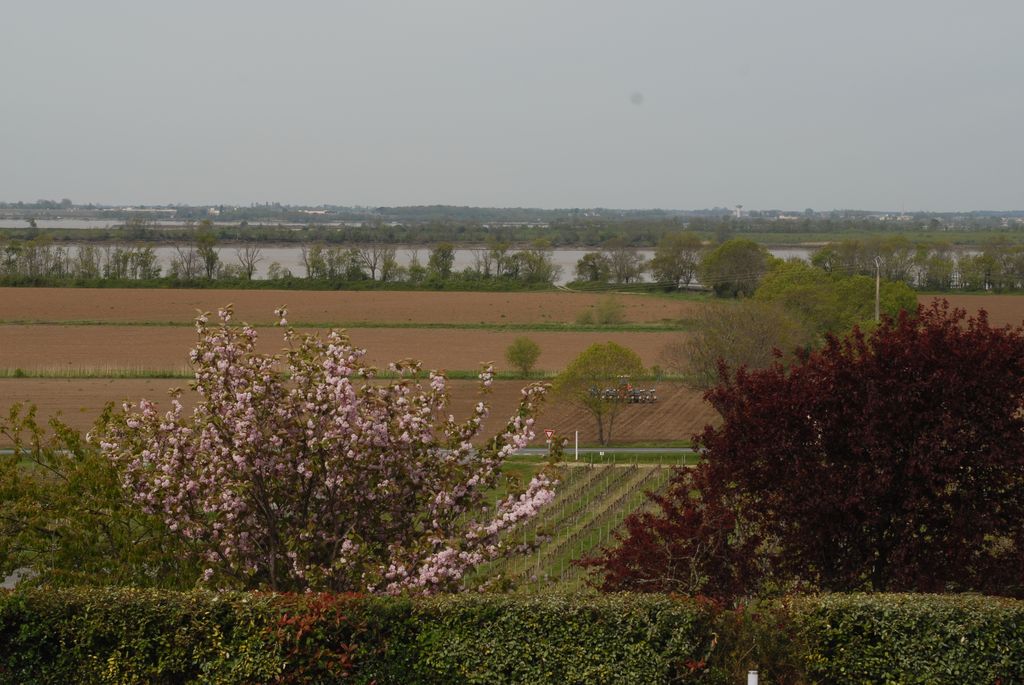 Vue du paysage depuis la terrasse de la demeure vers l'estuaire à l'ouest.