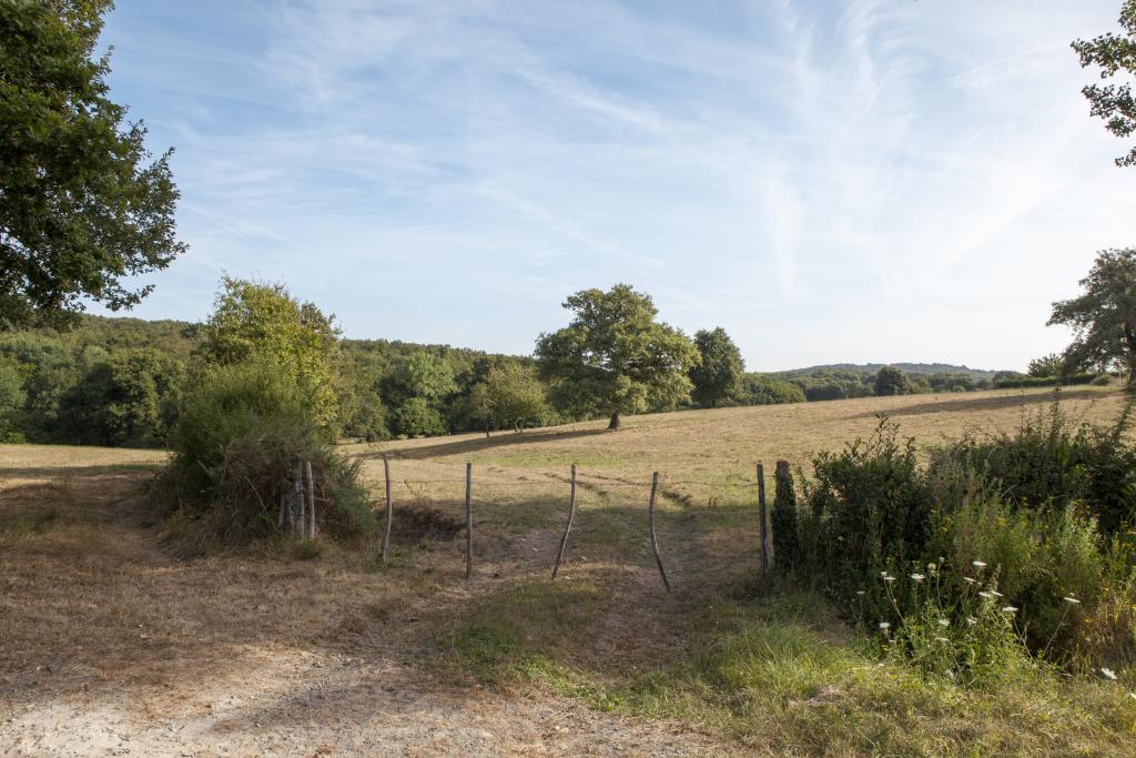 Prairie, à l'ouest de l'Ébeaupin.