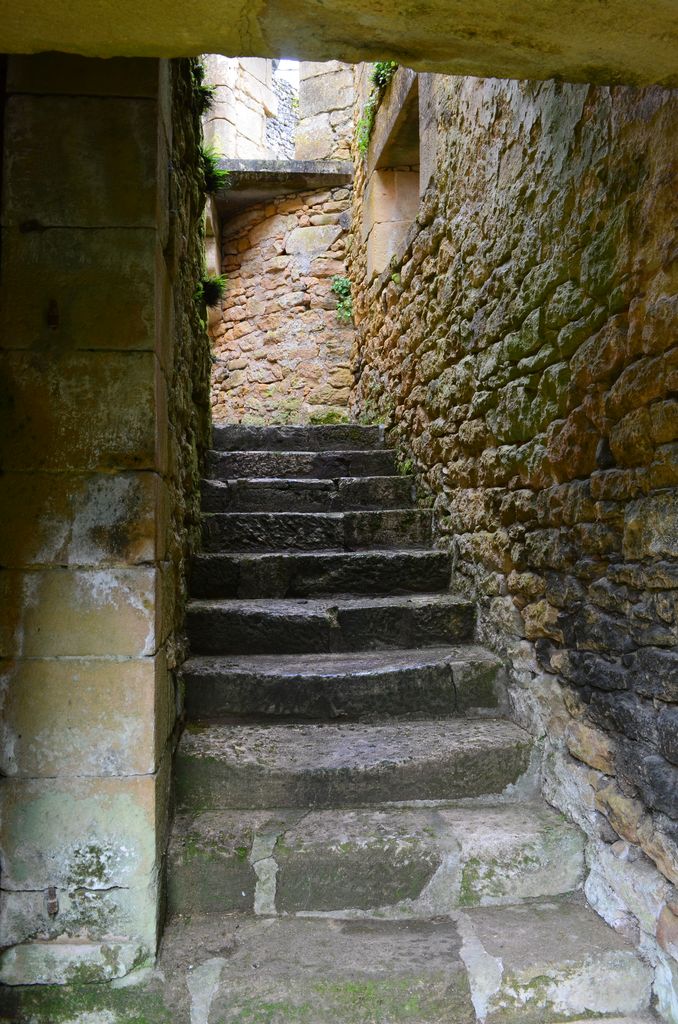 Volée de marches de l'escalier secondaire à l'extrémité sud de l'aile droite menant au premier étage.