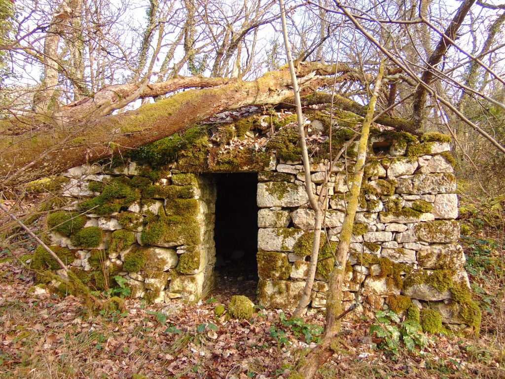 Loge dans le bois des Côteaux.