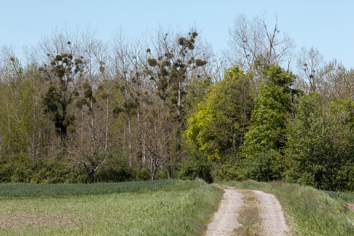 Paysage près de l'Aubrade.