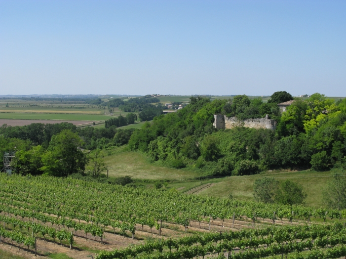 Le château de Cônac dominant les marais et l'estuaire, vu depuis le sud.