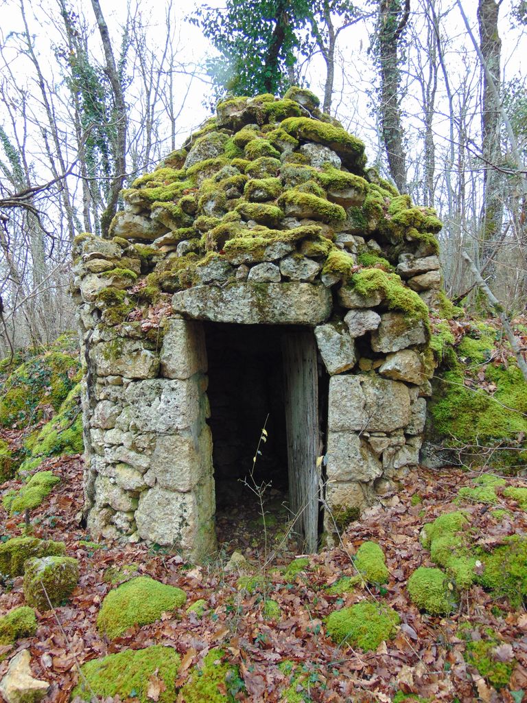 Loge ayant gardé sa porte dans le bois de la Vallée.