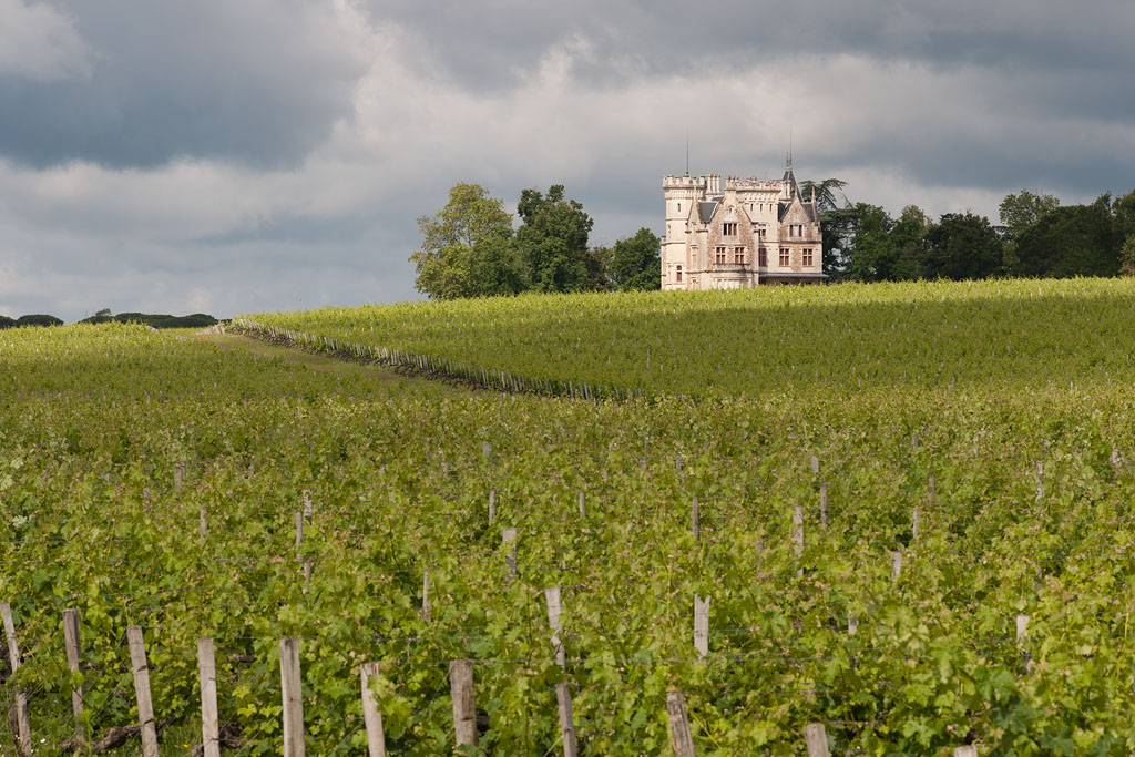 Vue d'ensemble du château et du vignoble.