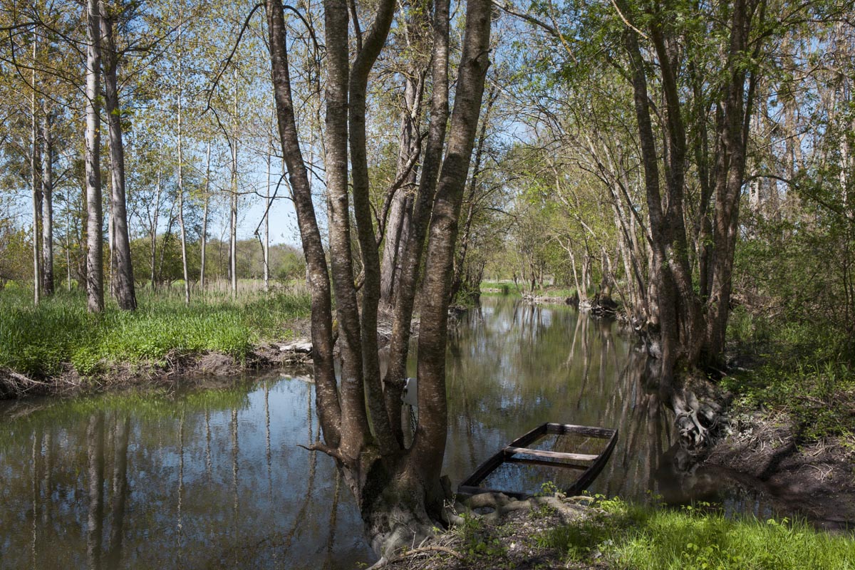 Bras de la Seugne dans les marais près de l'Aubrade.