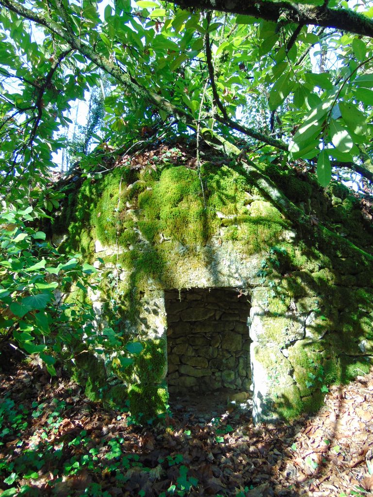 Loge dans le bois des Côteaux.