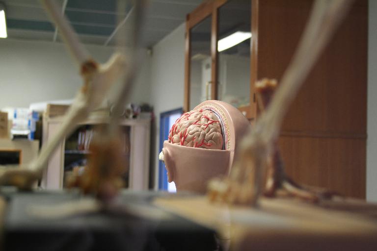 Salle de sciences : partie des collections d'histoire naturelle.